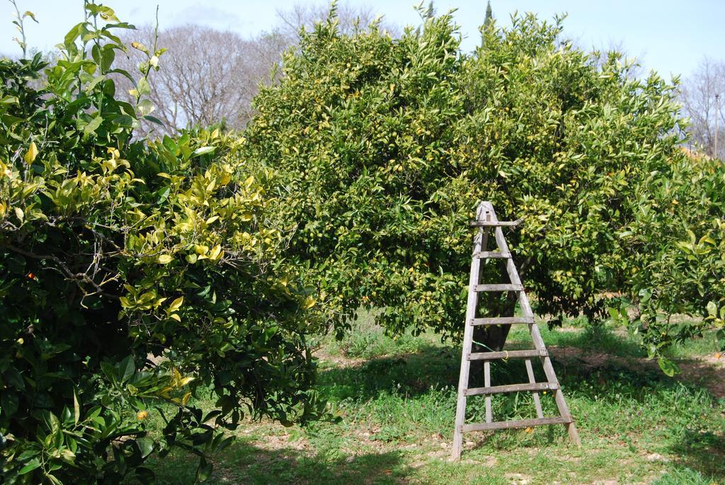 Finca Son Vivot Luaran gambar