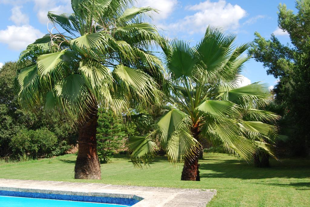 Finca Son Vivot Luaran gambar
