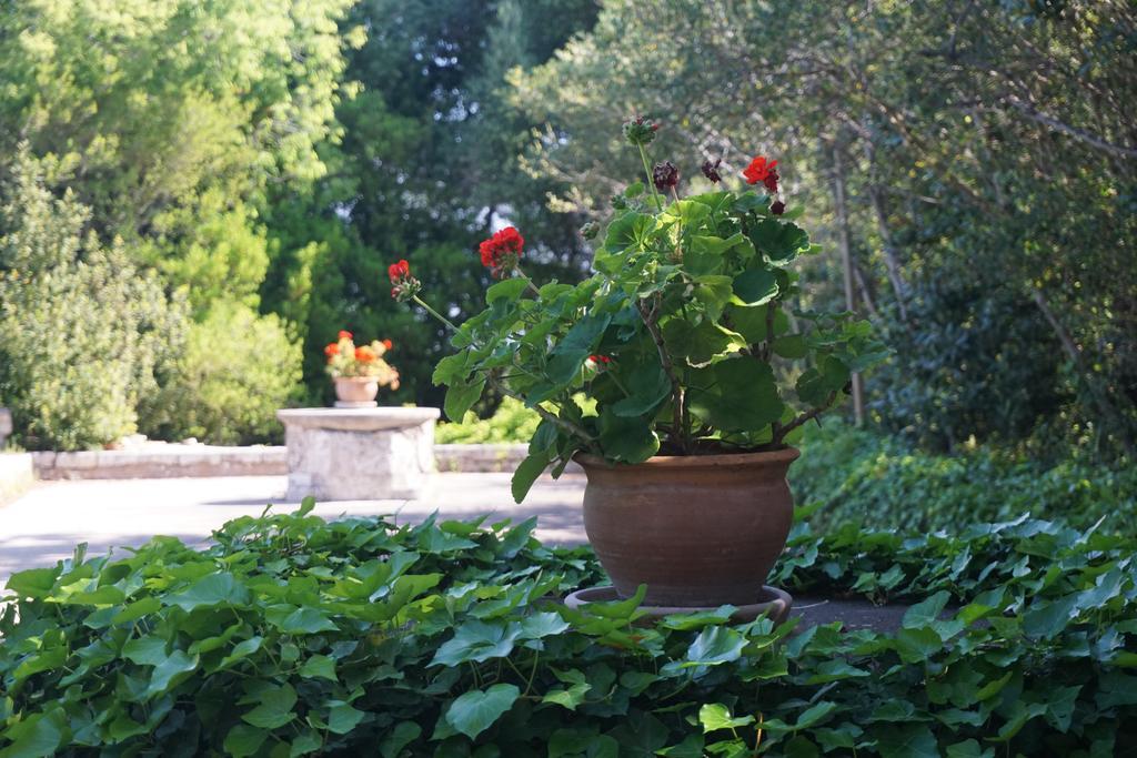 Finca Son Vivot Luaran gambar